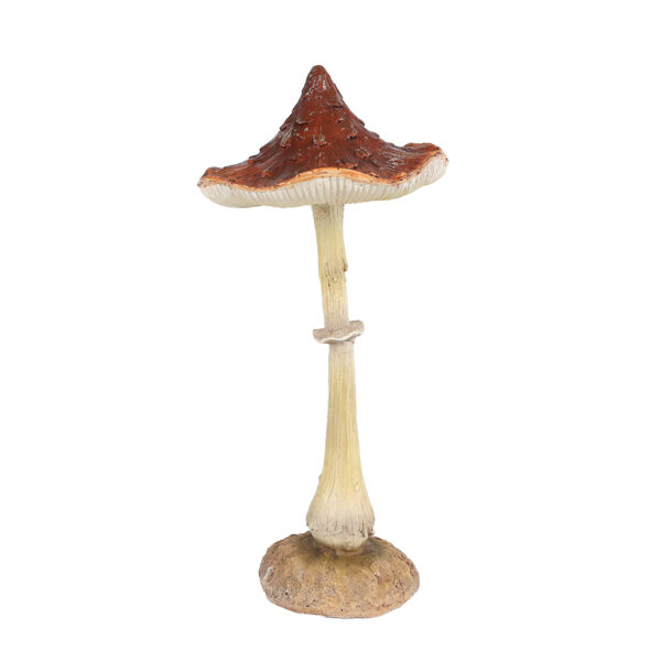 mushroom  brown