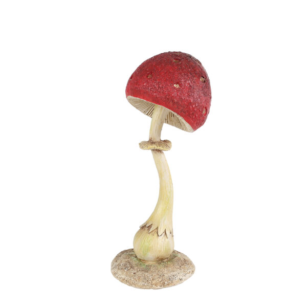 Mushroom red