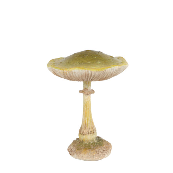 Mushroom groen