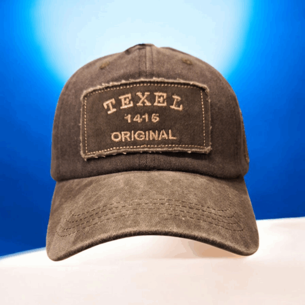 Baseballcap grijs met embleem