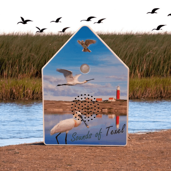 Soundbox Texel