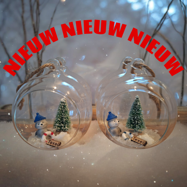 kerstbal zeehond in ijs