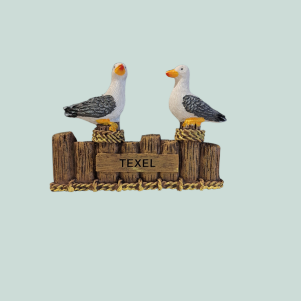 magneet meeuwen Texel